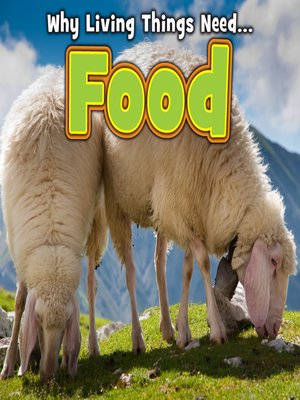 cover image of Food